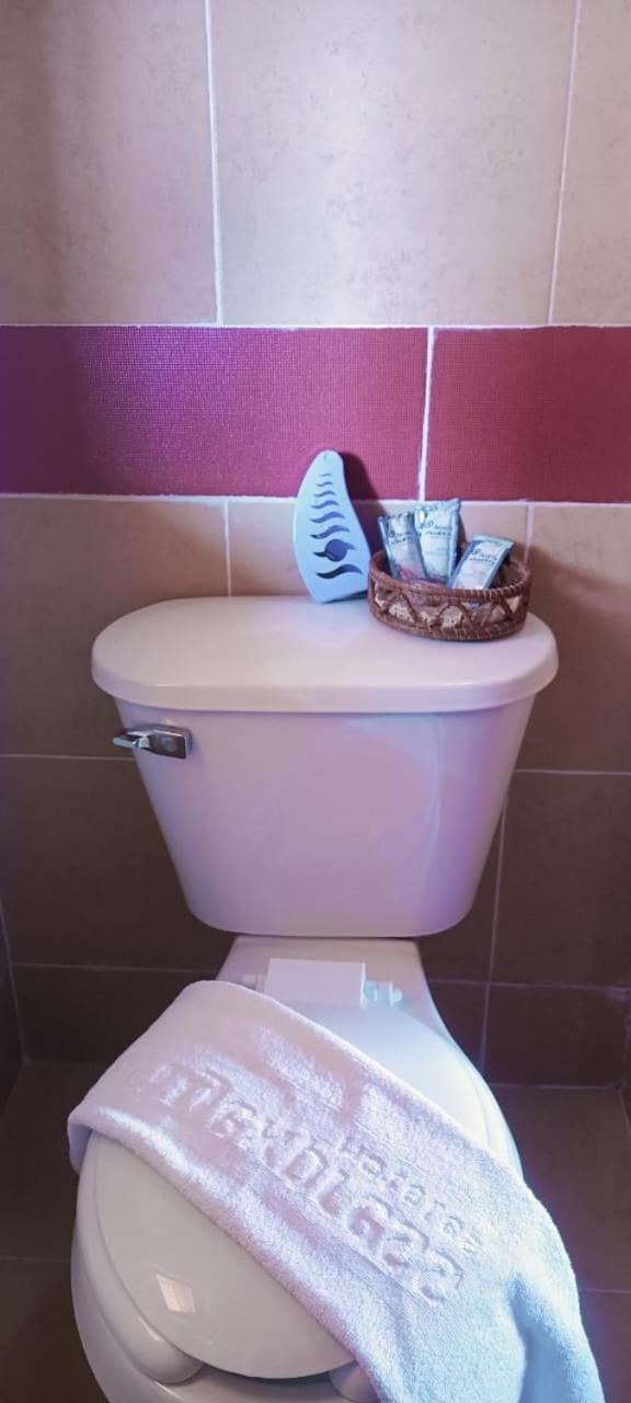 Alebrije Hotel Boutique Amanalco de Becerra エクステリア 写真
