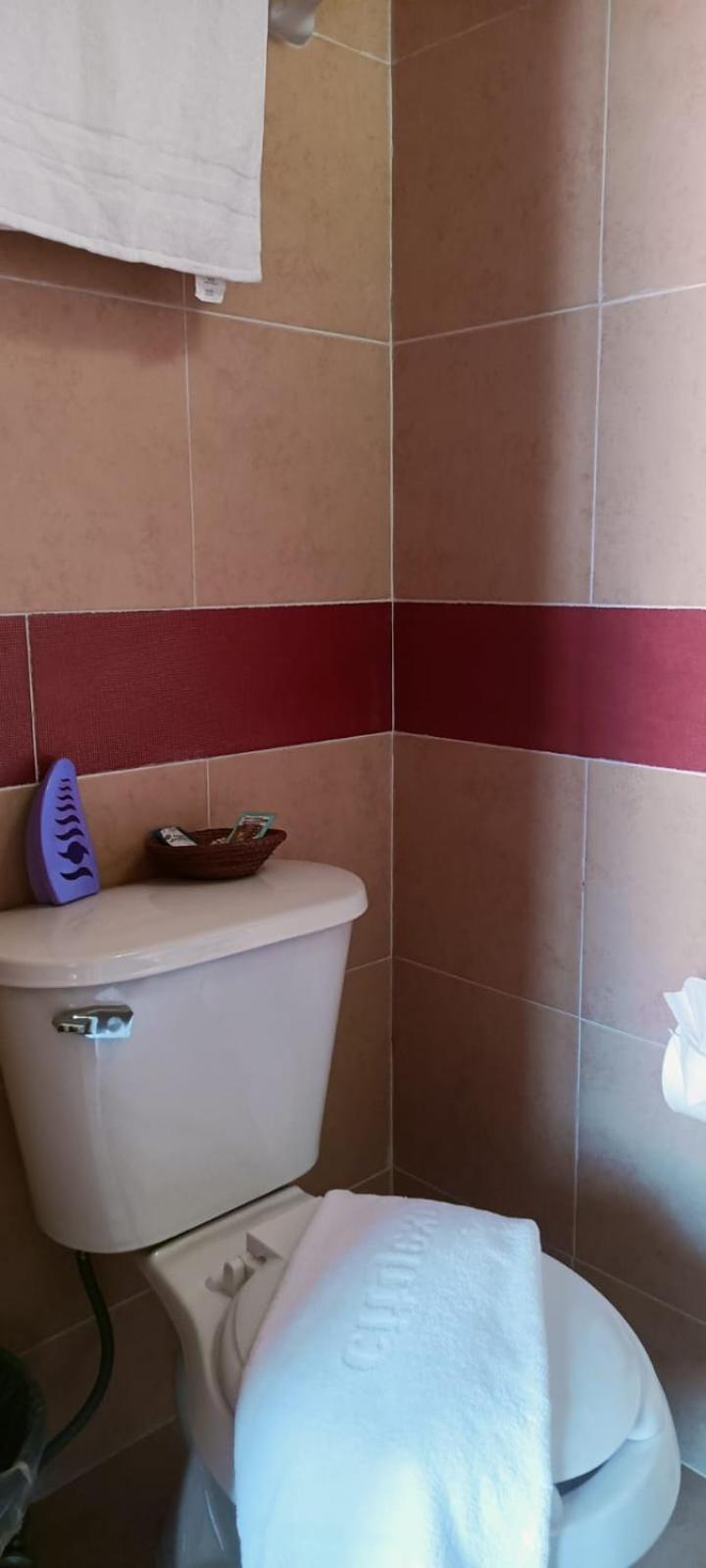 Alebrije Hotel Boutique Amanalco de Becerra エクステリア 写真